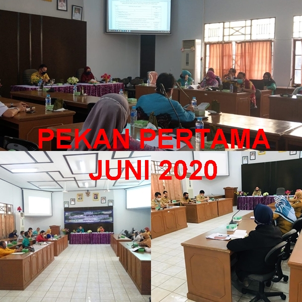 Kegiatan Bappeda Pekan Pertama Juni 2020 - (Ada 5 foto)